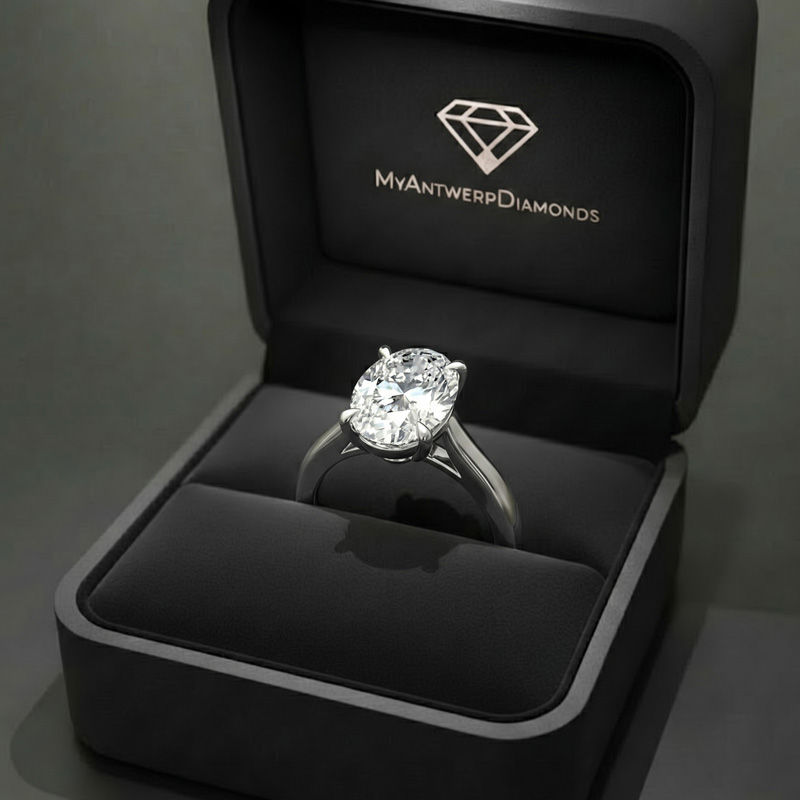 Signature Oval – Perfectly Proportioned - Image 4
