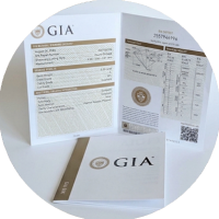 circl-icons-gia