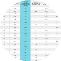 circl-icons-ring-size